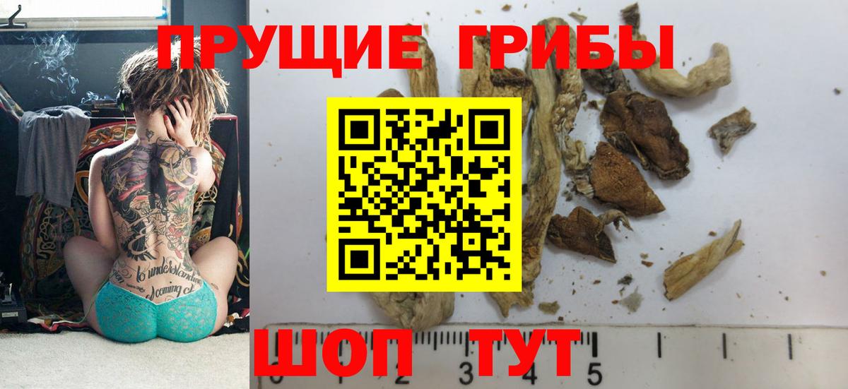 Кисловодск  Галлюциногенные грибы прущие грибы  Вход с VPN 